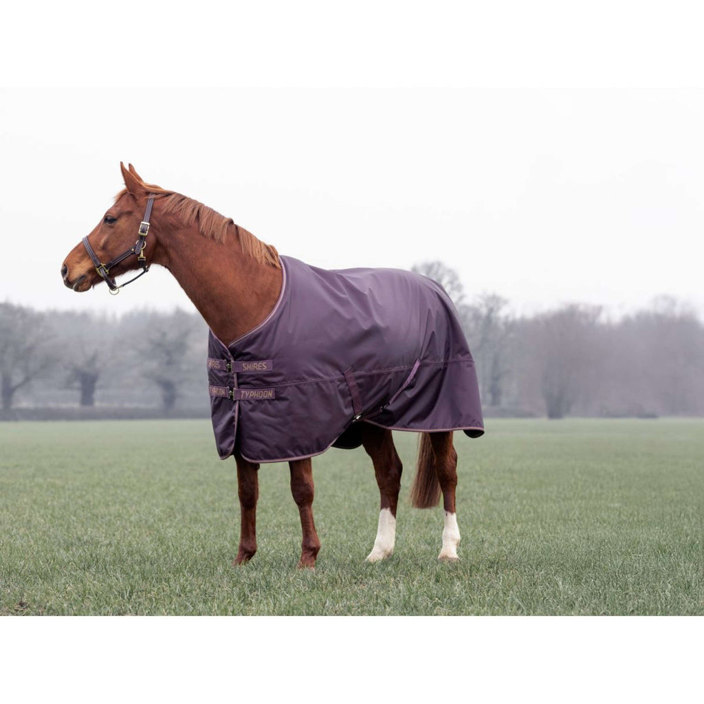 Tempest by Shires Winterdeken Turnout Typhoon 100g Black Cherry