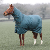 Tempest Winterdeken Turnout Typhoon Combo 200g Groen