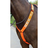 Equi-Flector by Shires Borststuk Reflecterend Oranje