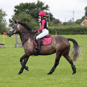 Aubrion Zadeldekje Hyde Park Young Rider Sterren