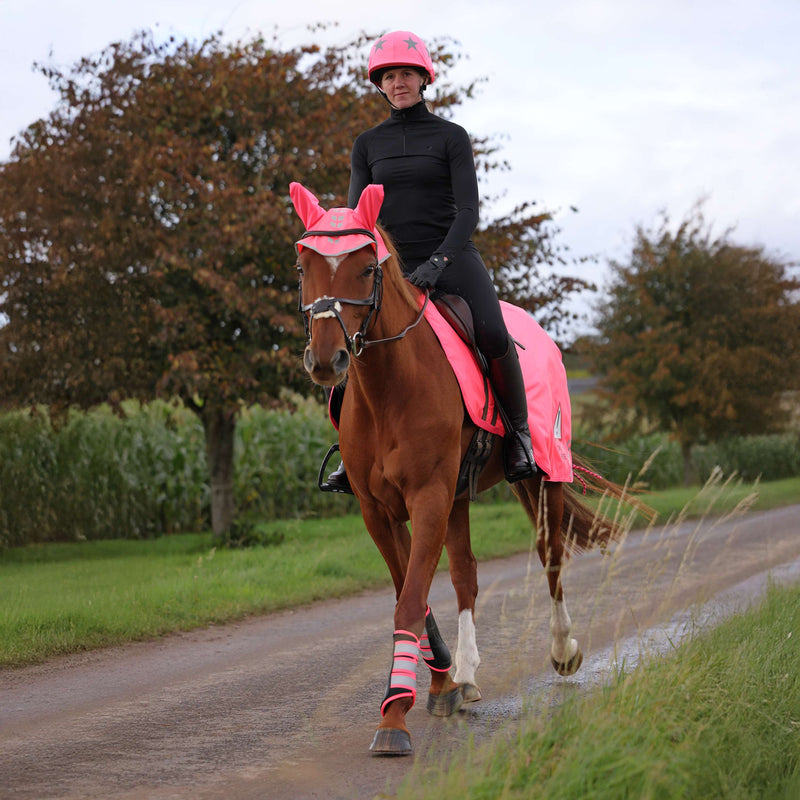 Shires Equi-Flector Roze