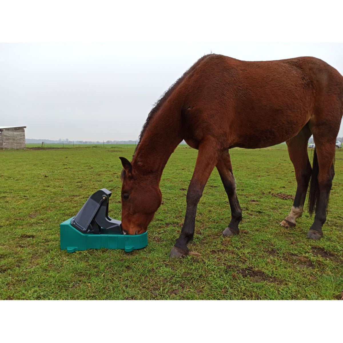 Suevia Weidepomp Membraam Model 547 Standaard