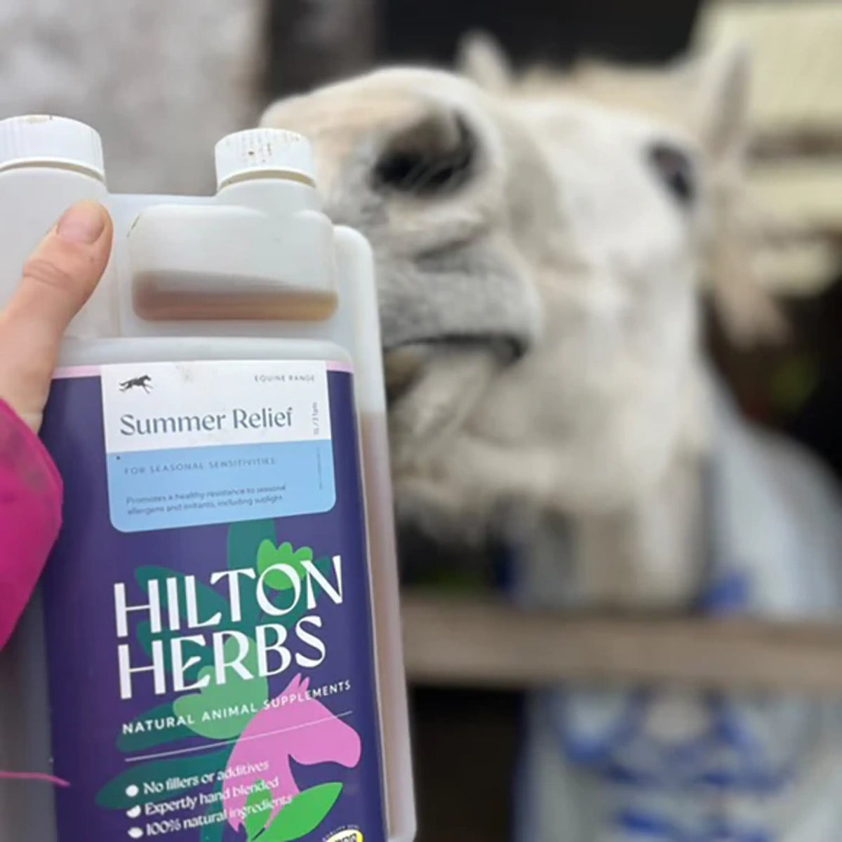 Hilton Herbs Summer Relief
