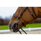 Trust Hoofdstel Hickstead Bruin/Zilver