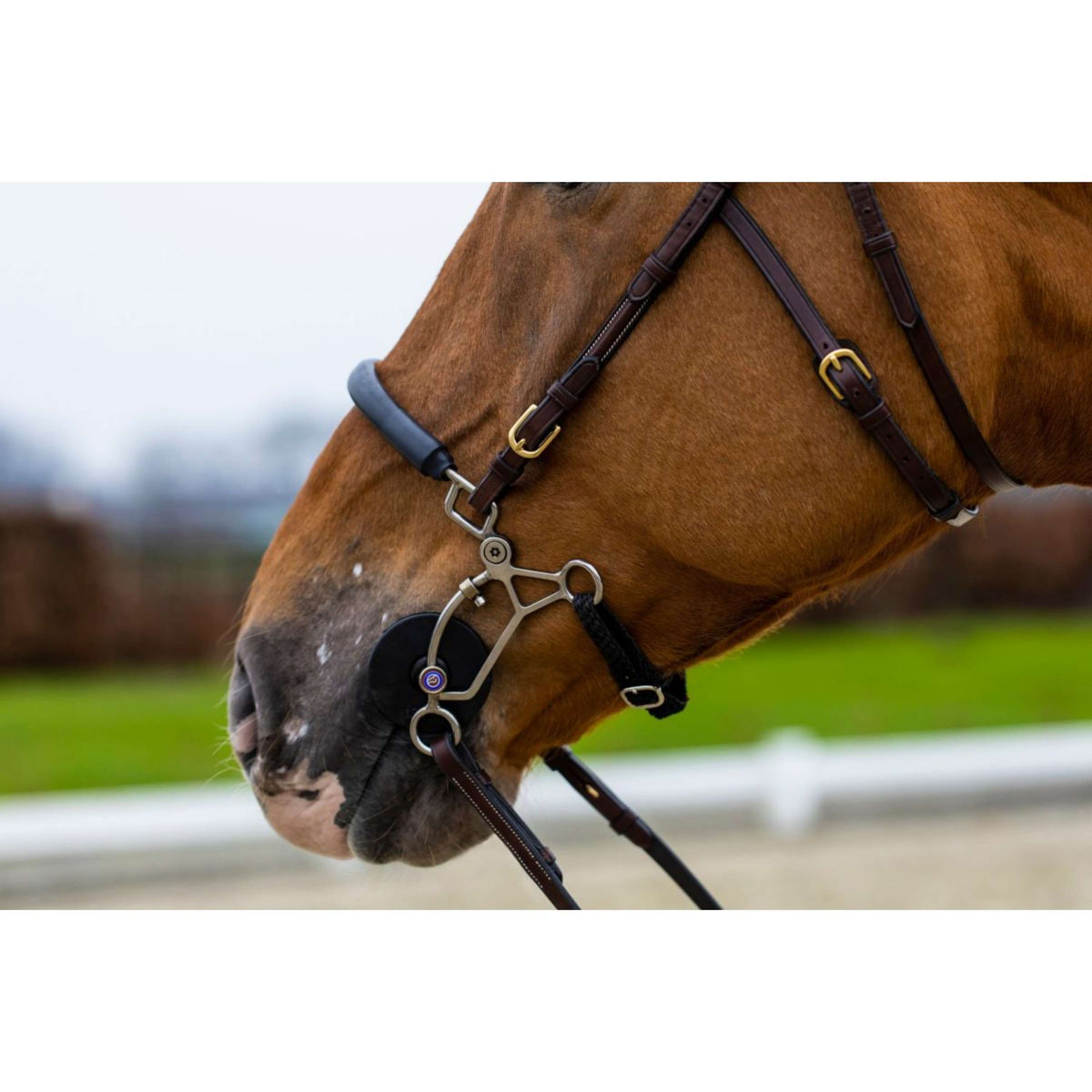 Trust Hoofdstel Hickstead Zwart/Zilver