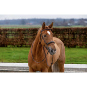 Trust Hoofdstel Hickstead Zwart/Zilver