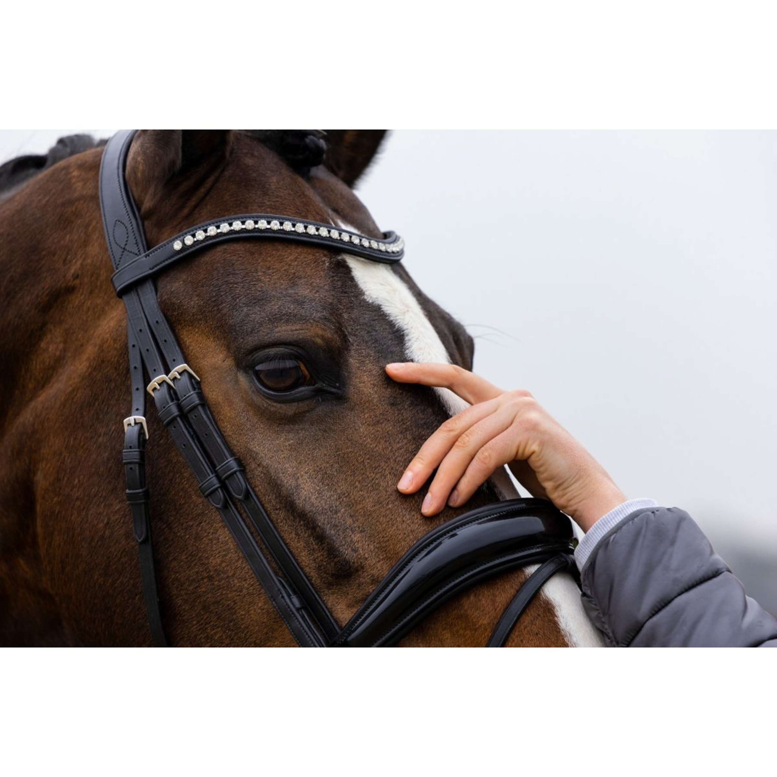 Trust Hoofdstel Rotterdam Zwart/Zilver Trust Hoofdstel Rotterdam Zwart/Zilver