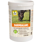 VITALstyle Darmbalans Paard