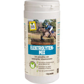 VITALstyle Elektrolyten Mix Paard