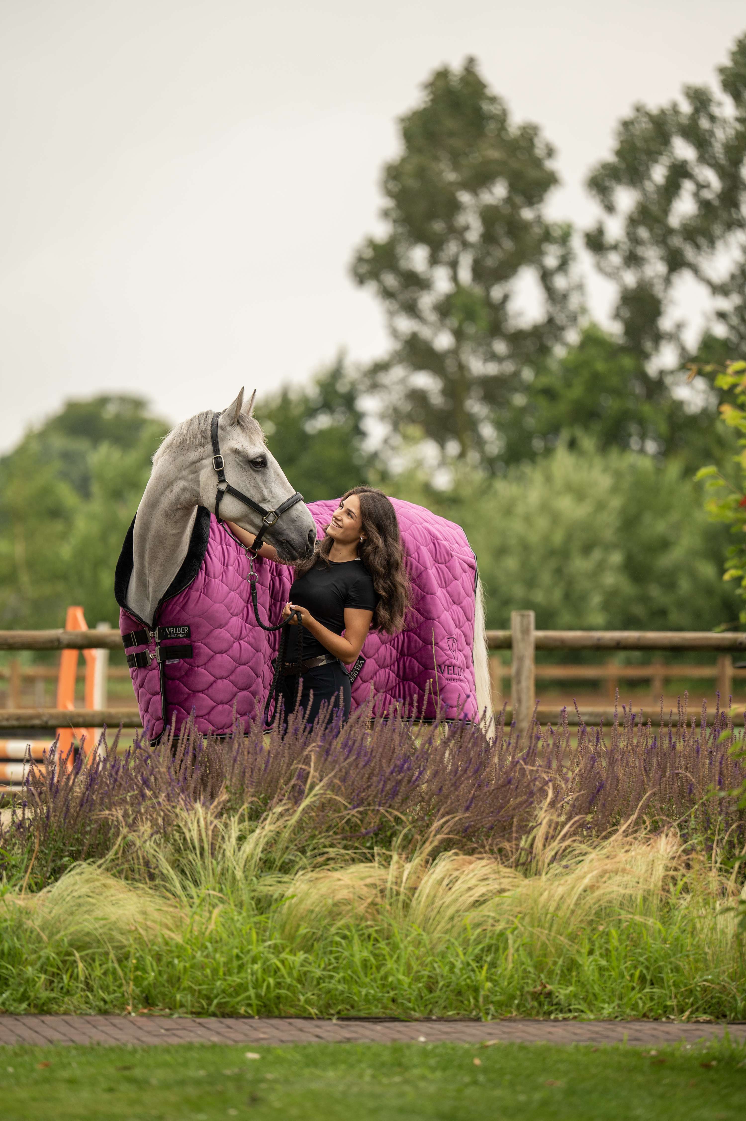 Velder Horsewear Premium Showdeken Satin Glow Dutch Raspberry