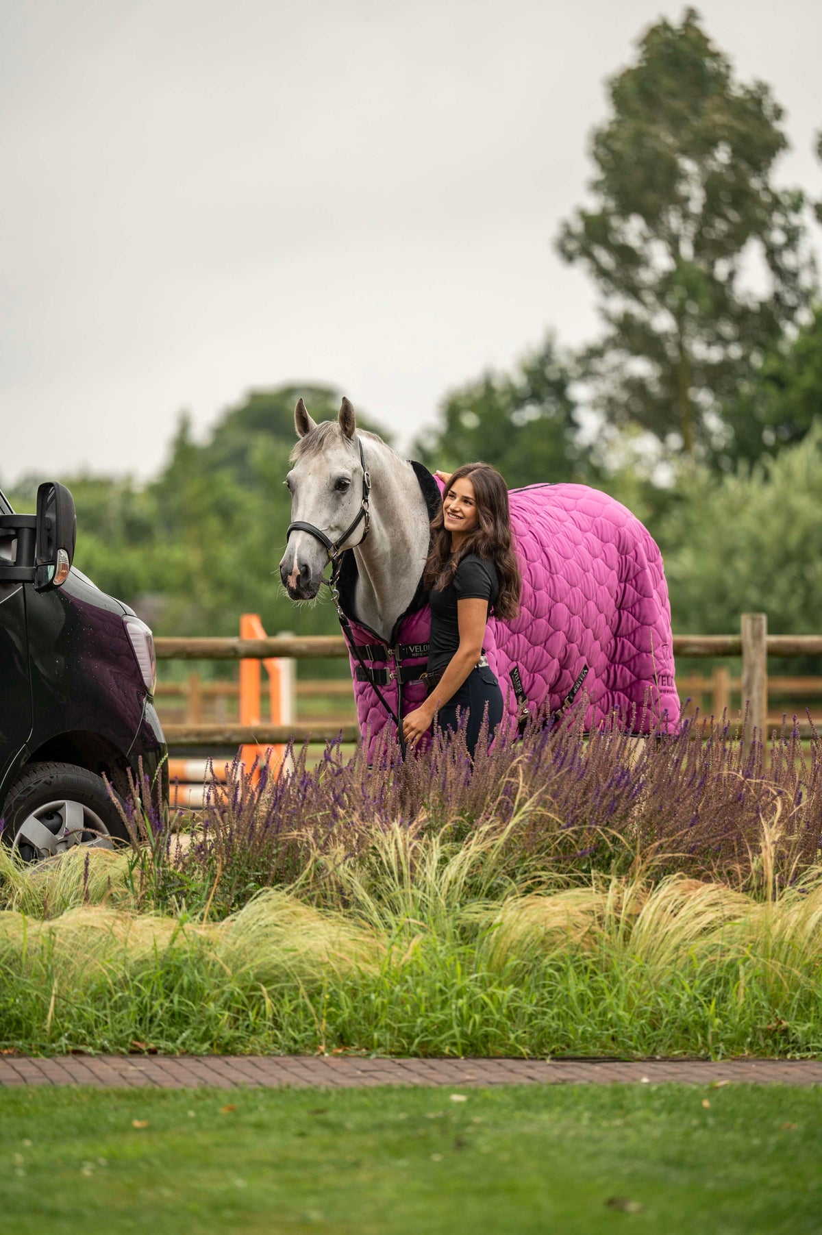 Velder Horsewear Premium Showdeken Satin Glow Dutch Raspberry