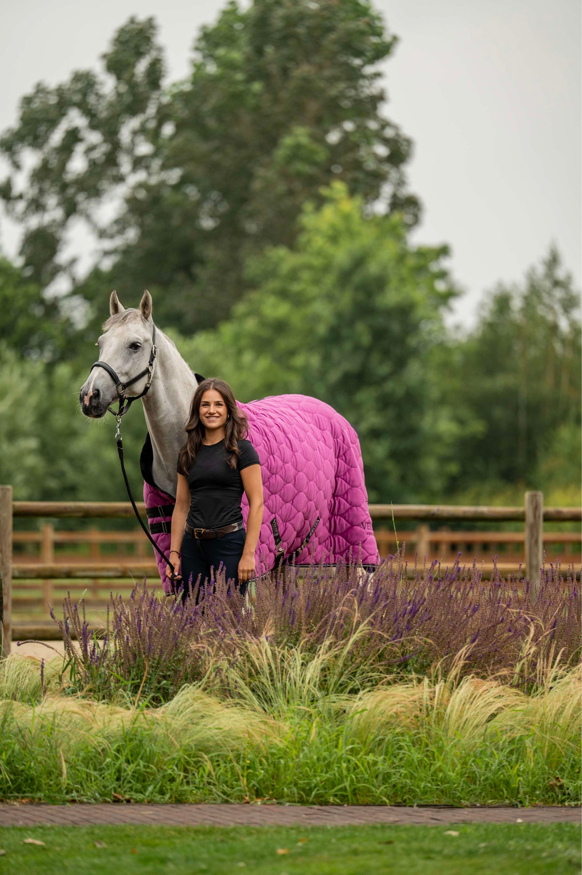 Velder Horsewear Premium Showdeken Satin Glow Dutch Raspberry