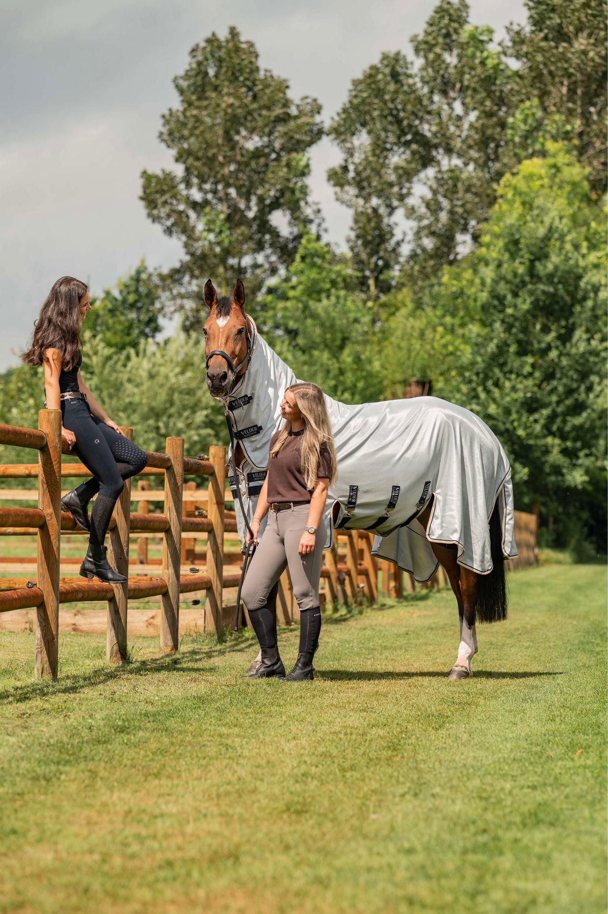 Velder Horsewear Premium Vliegendeken Pearl Grey