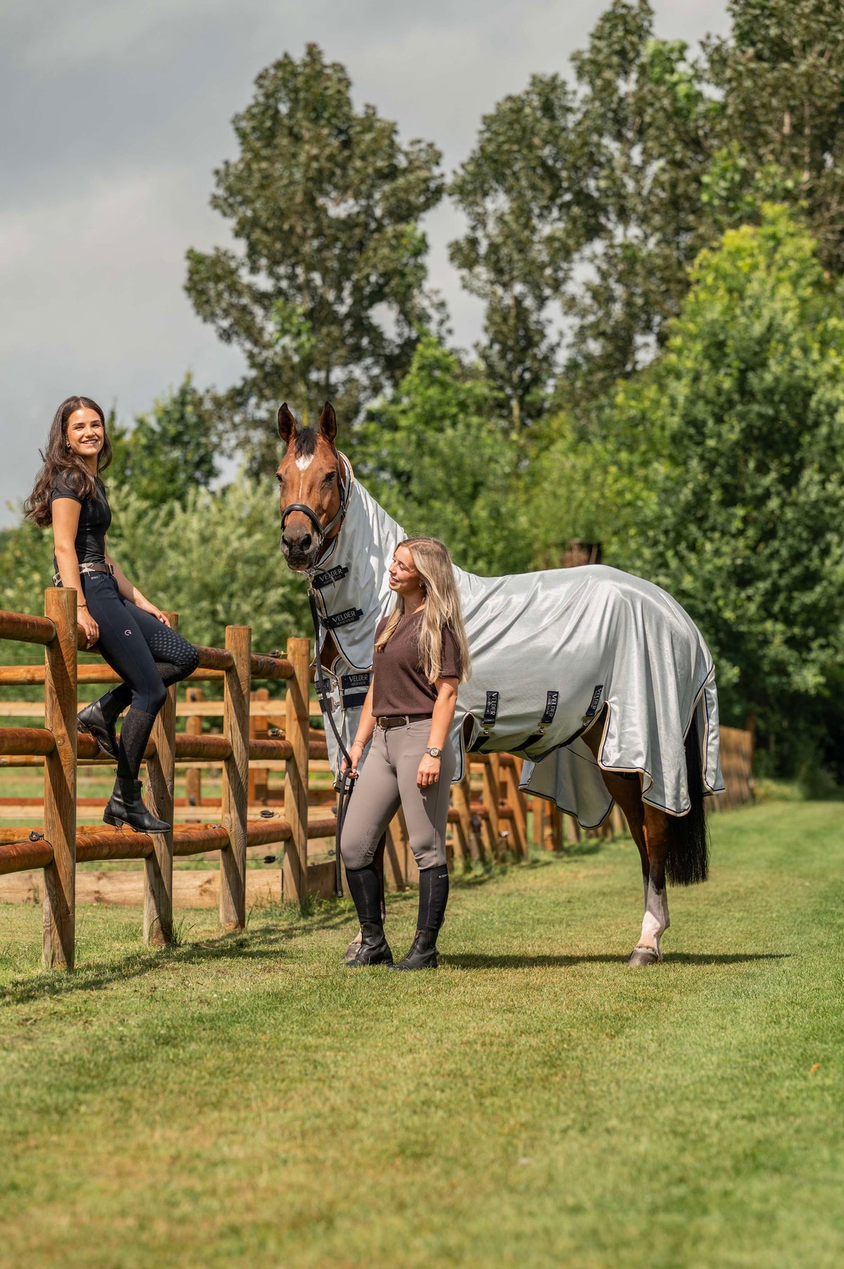 Velder Horsewear Premium Vliegendeken Pearl Grey