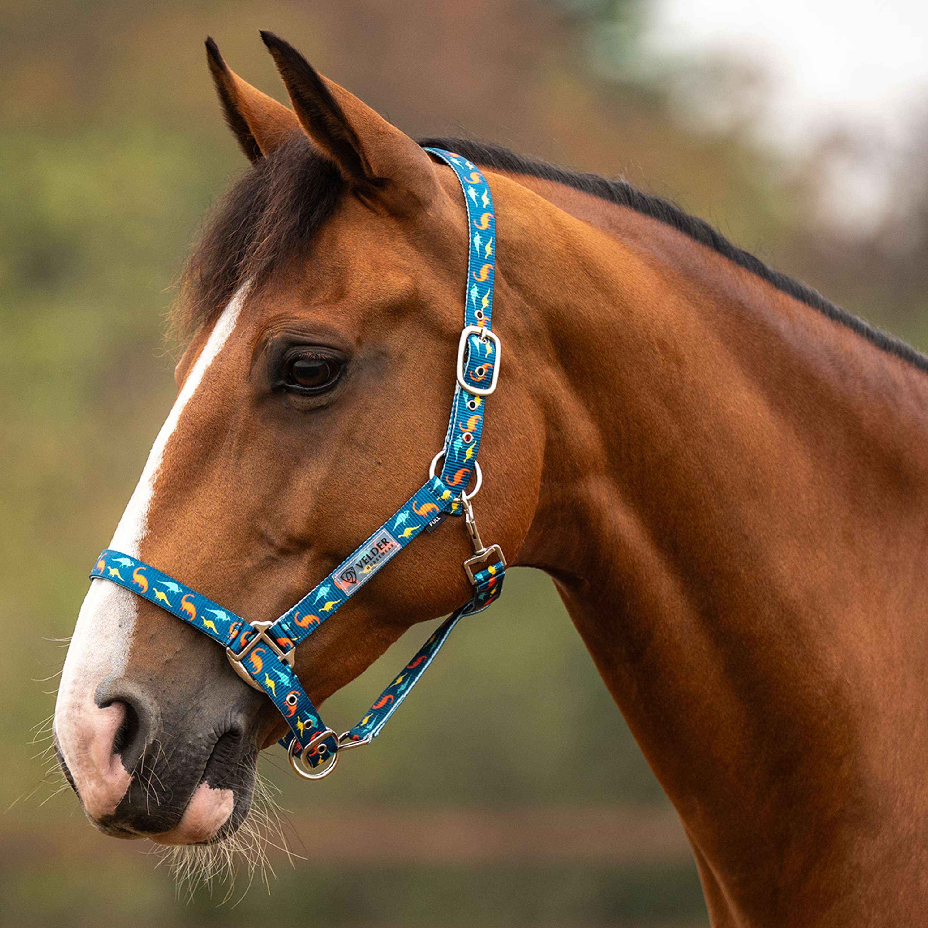 Velder Horsewear Essentials Halster Dino Blauw/Oranje