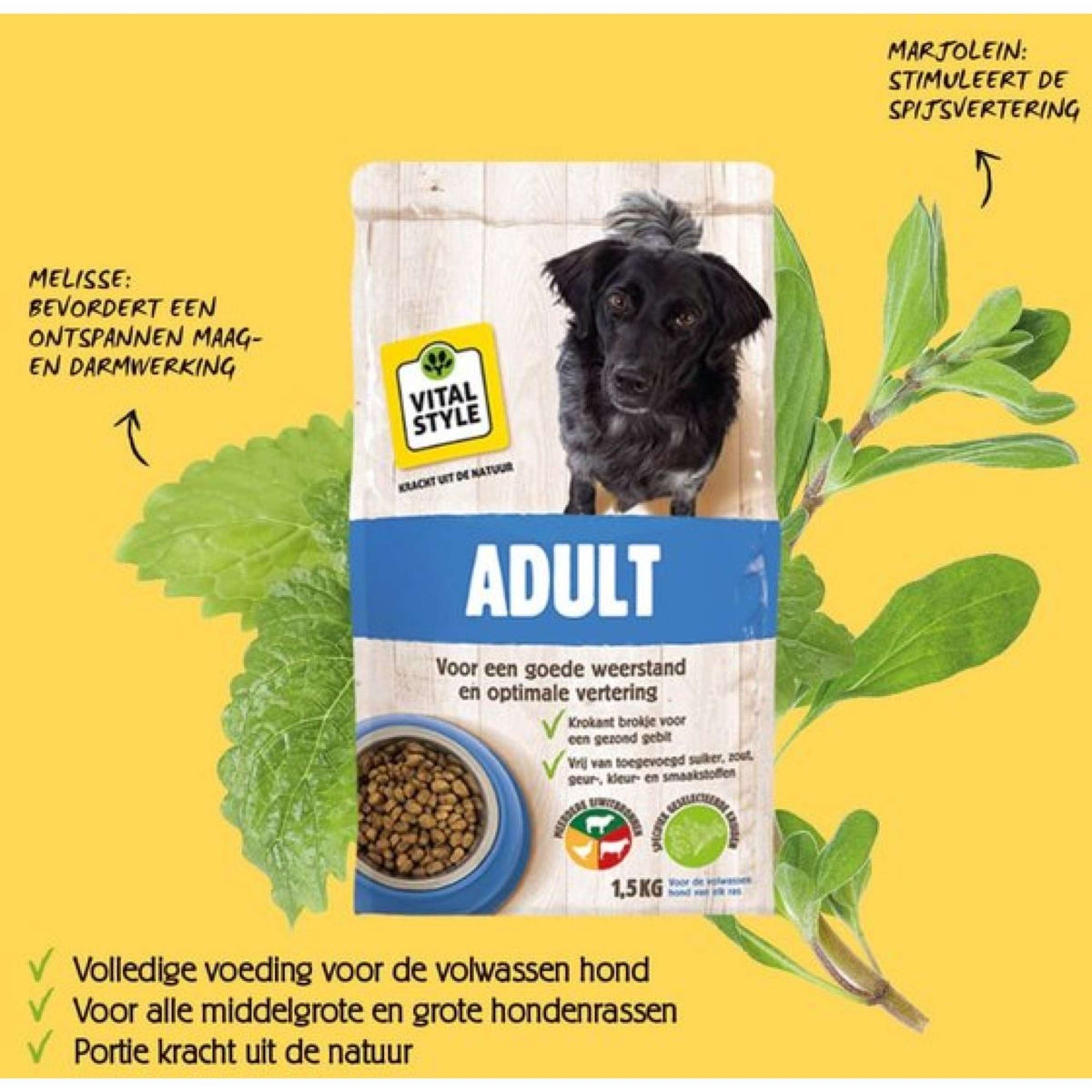 Vitalstyle Hond Adult Vitalstyle Hond Adult
