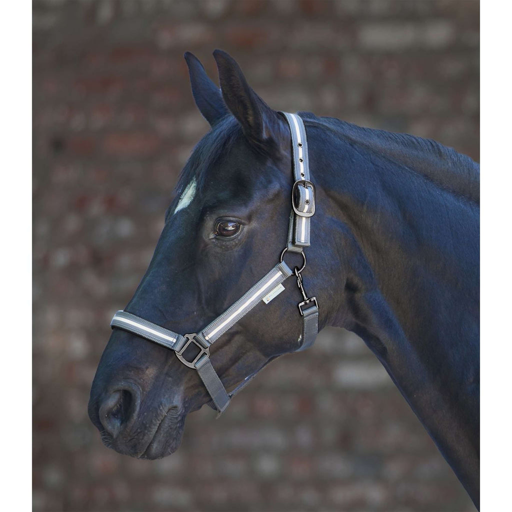 Waldhausen Halster Reflex Stripe Grijs