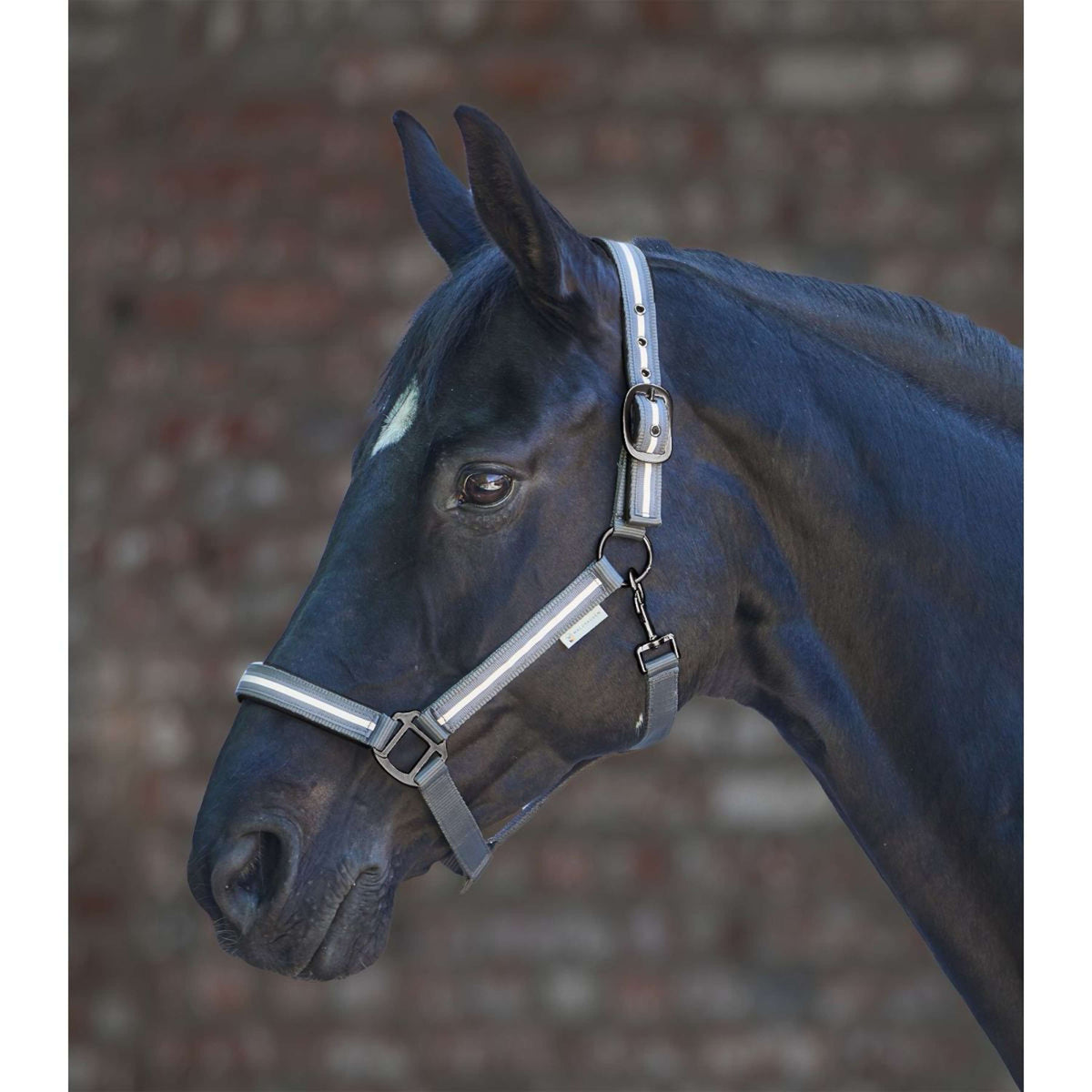 Waldhausen Halster Reflex Stripe Grijs