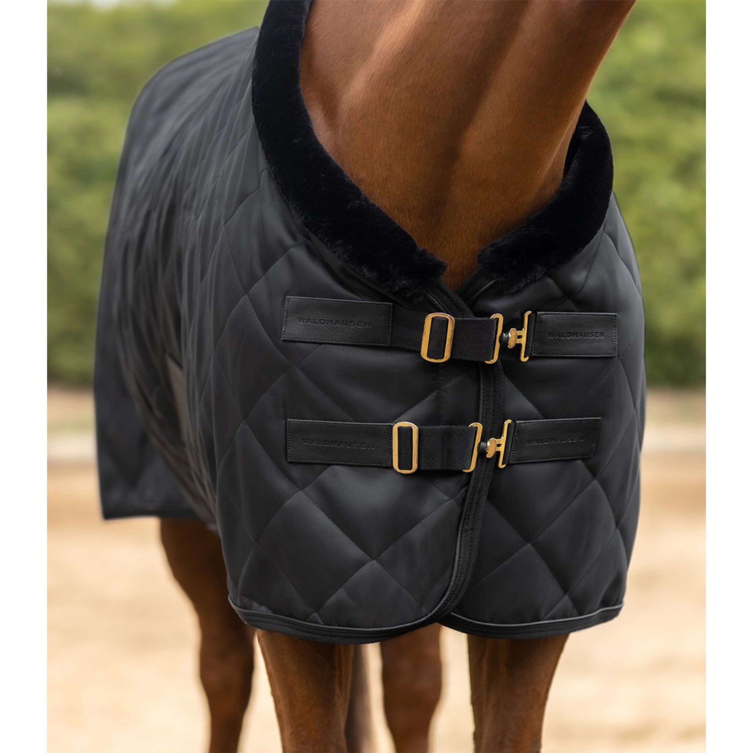 Waldhausen Transportdeken Exclusive Zwart Waldhausen Transportdeken Exclusive Zwart