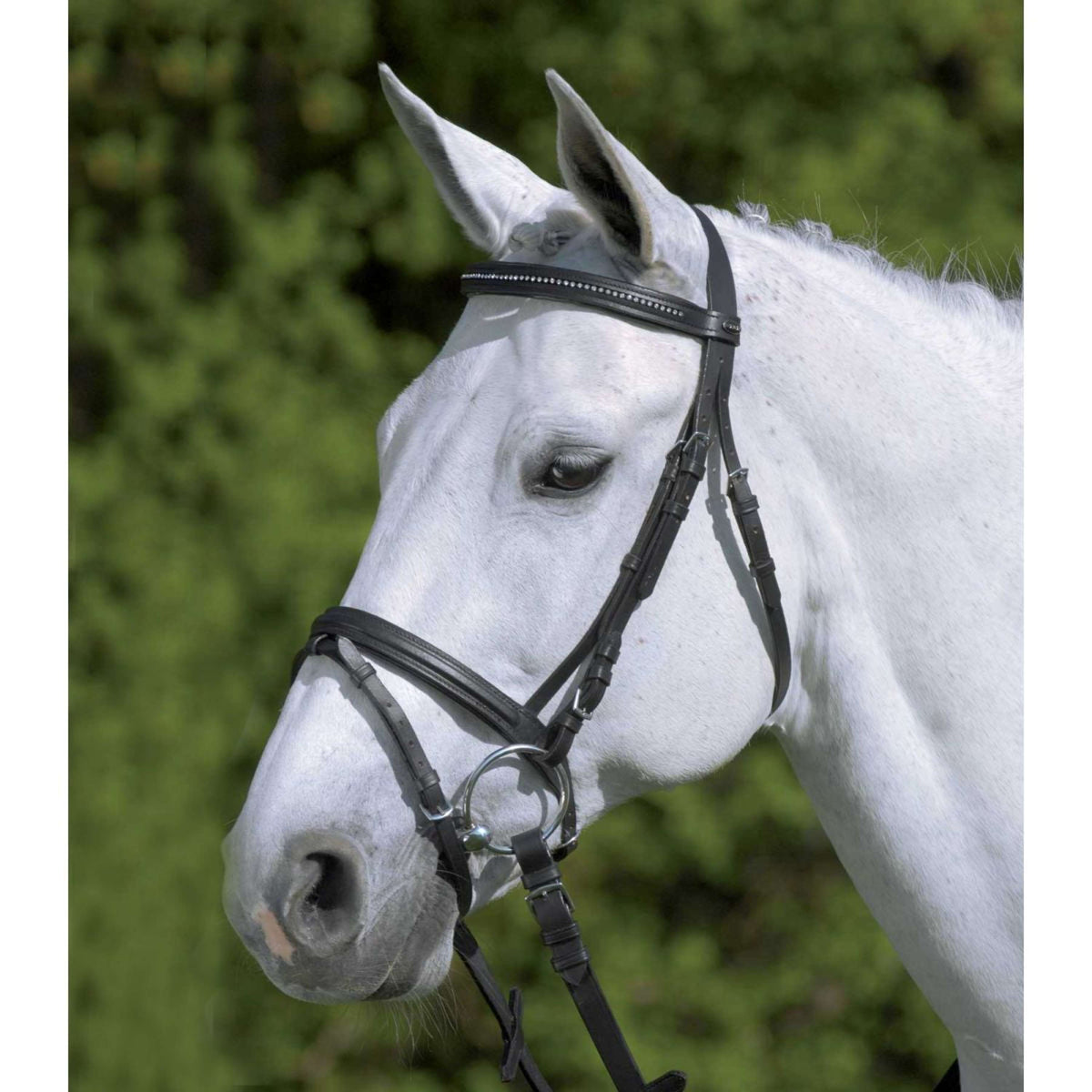 Star Trenshoofdstel Diamond Engels Gecombineerd Zwart