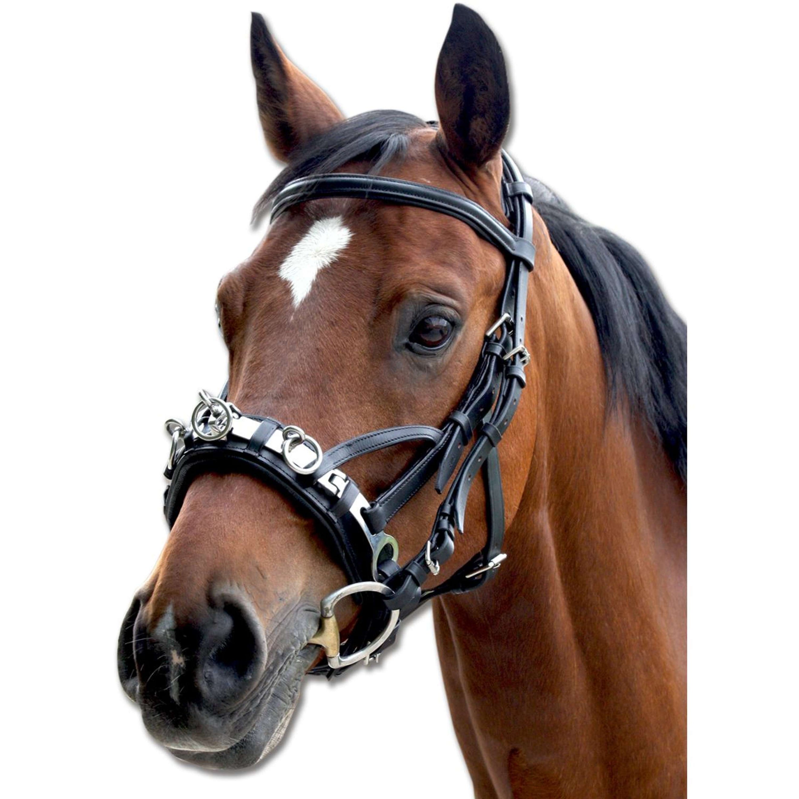 Waldhausen Kaptoom Leder Waldhausen Kaptoom Leder