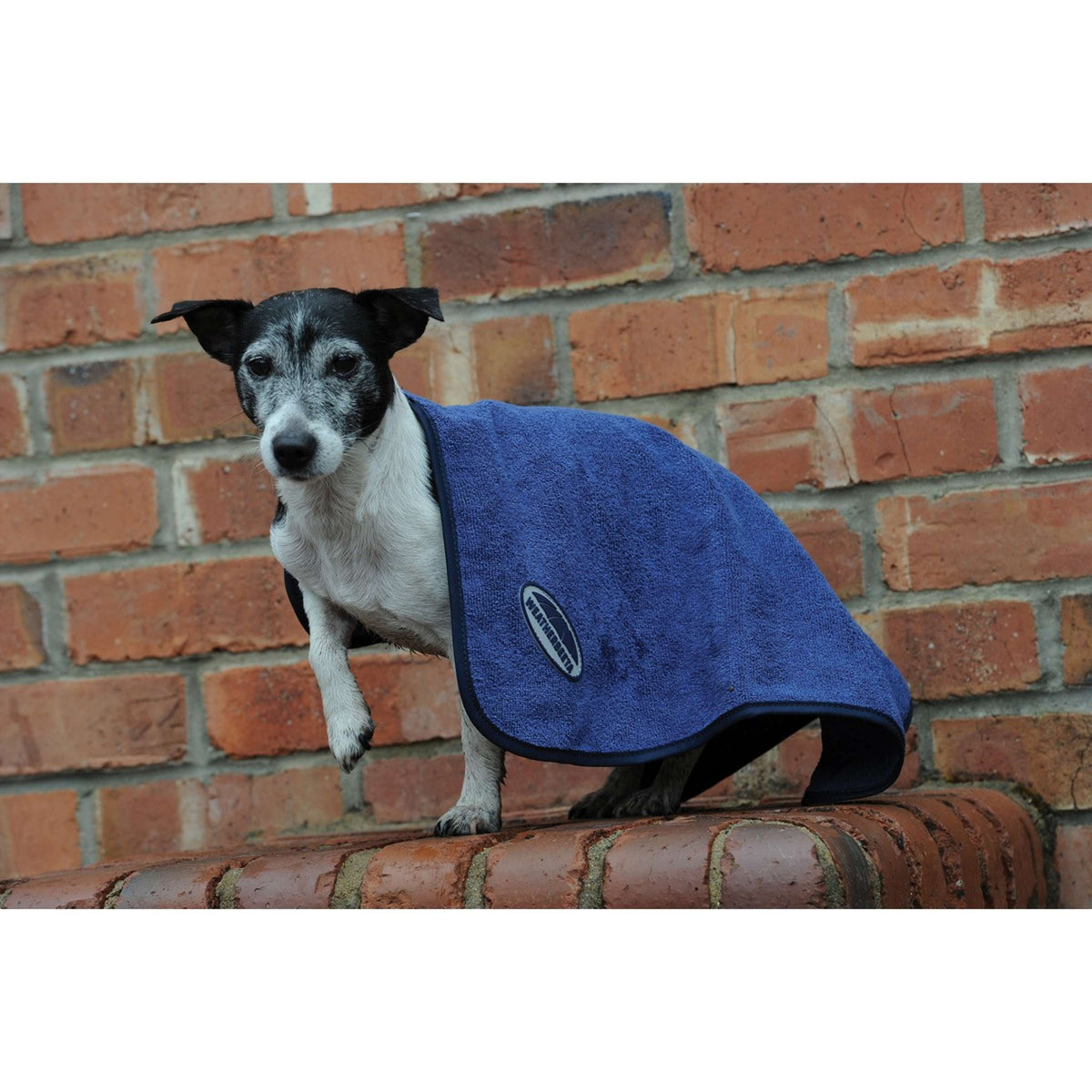 Weatherbeeta Dog Towel Blue