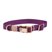 Weatherbeeta Dog Collar Elegance Purple