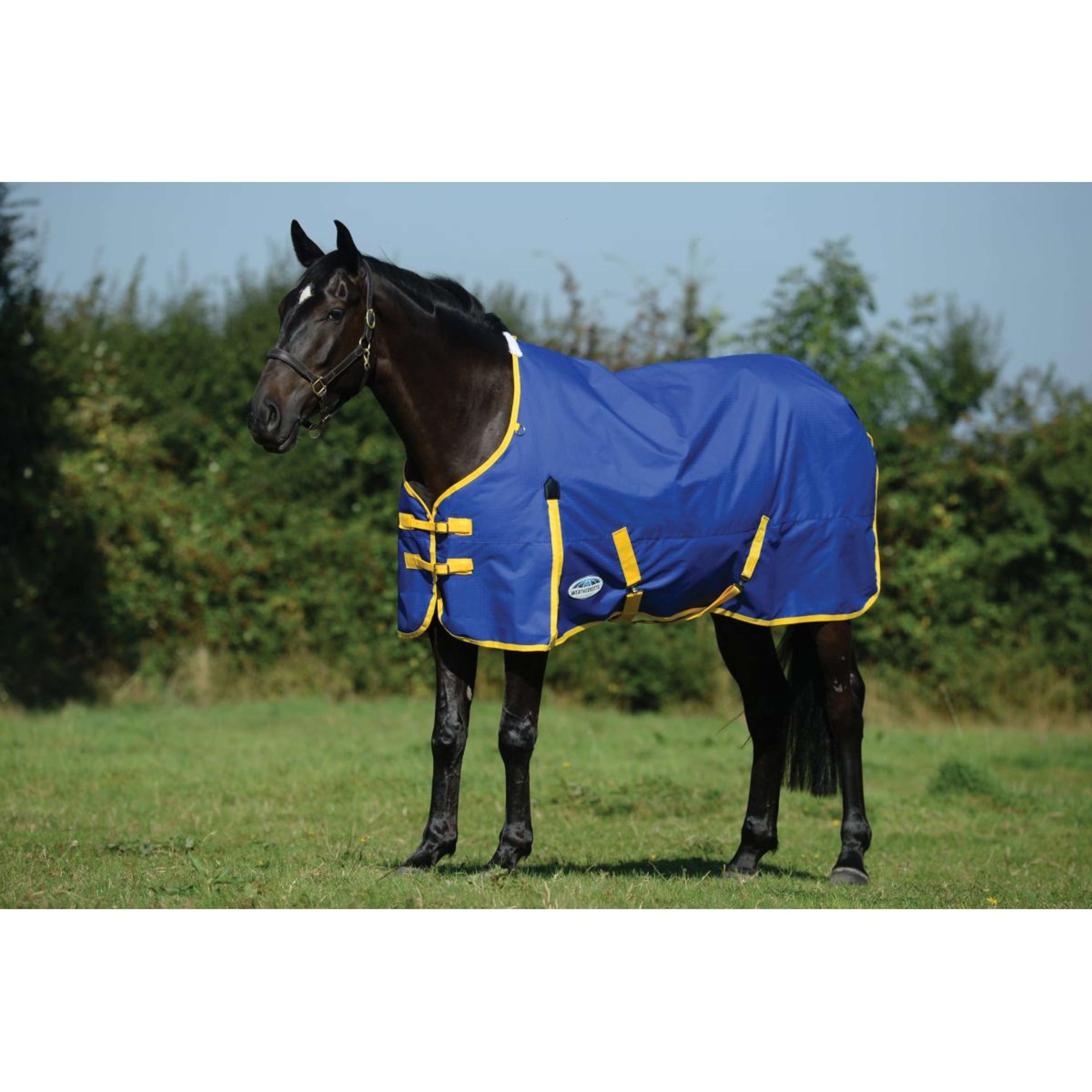 WeatherBeeta ComFiTec Classic Standard Neck Medium 220g Blauw/Citroen