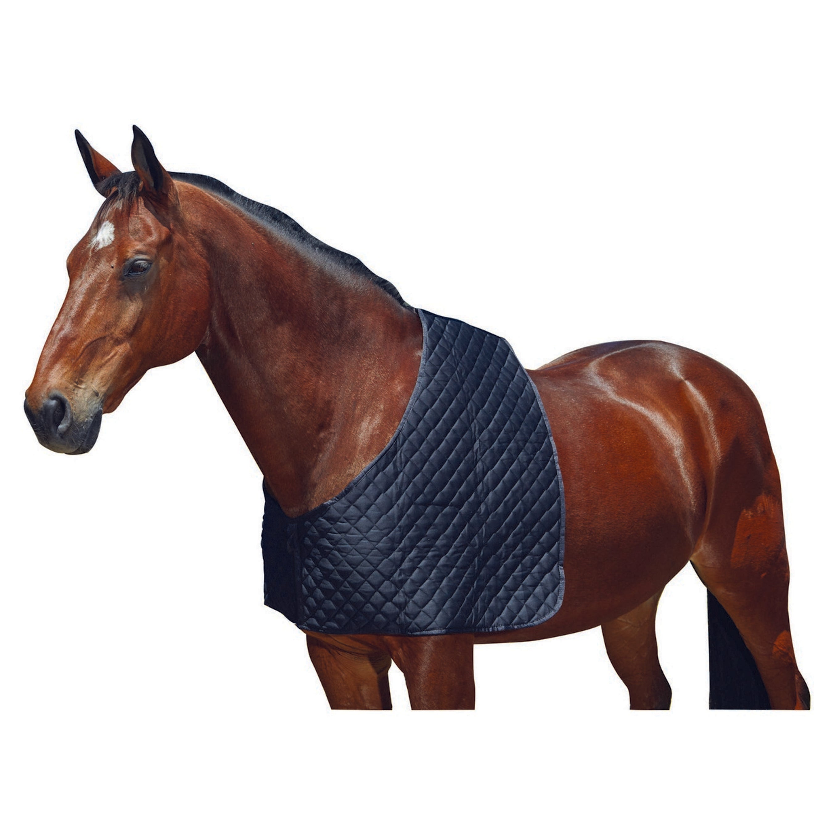 WeatherBeeta Shoulder Guard Deluxe Black WeatherBeeta Shoulder Guard Deluxe Black