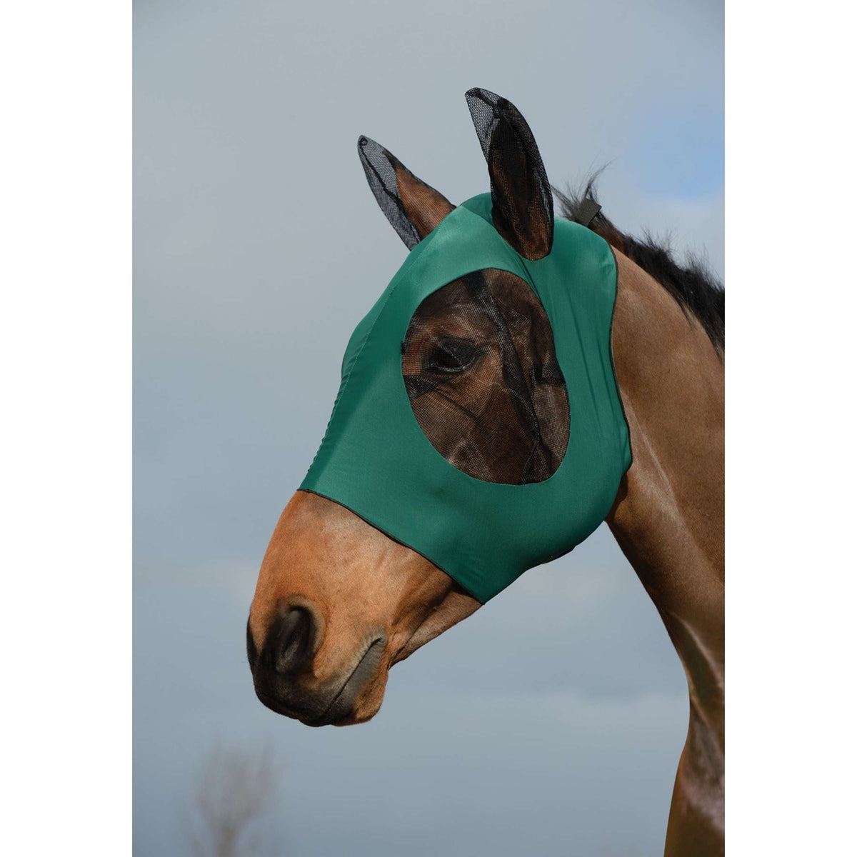 Weatherbeeta Vliegenmasker Stretch Bug Eye Saver met Oren Hunter/Zwart