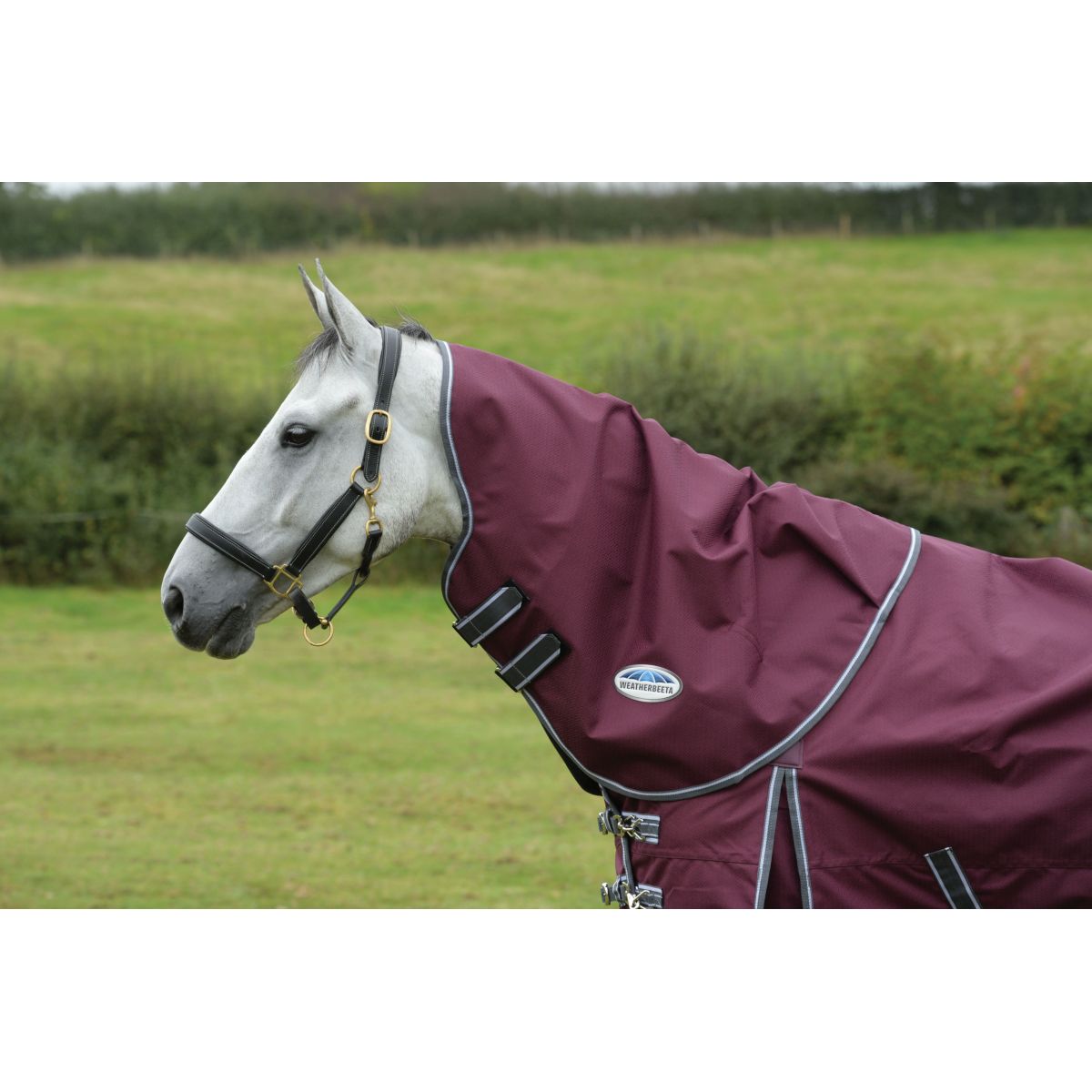 Weatherbeeta Halsstuk Comfitec Plus Dynamic II Neck Rug Lite Maroon/Grijs/Wit