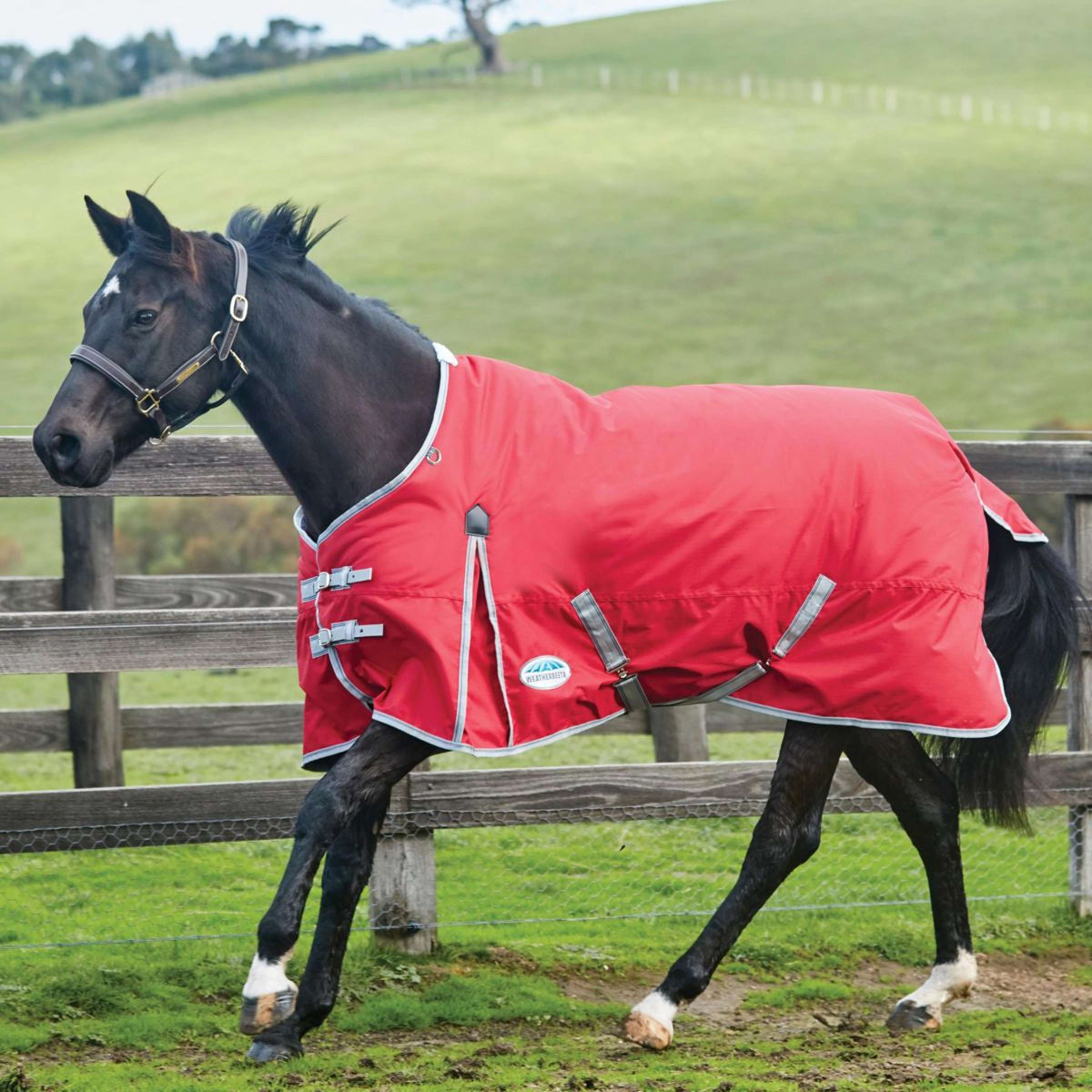 Weatherbeeta Winterdeken Comfitec Classic Standard Neck Medium/Lite 600D 100g Rood/Zilver/Navy