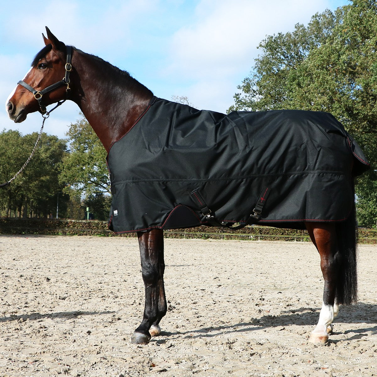 Eskadron Turnout Rug Gamma 840D 150g Zwart