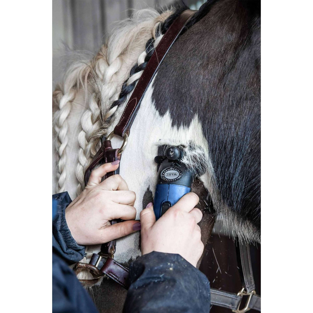 Wahl Scheermachine Star Blauw