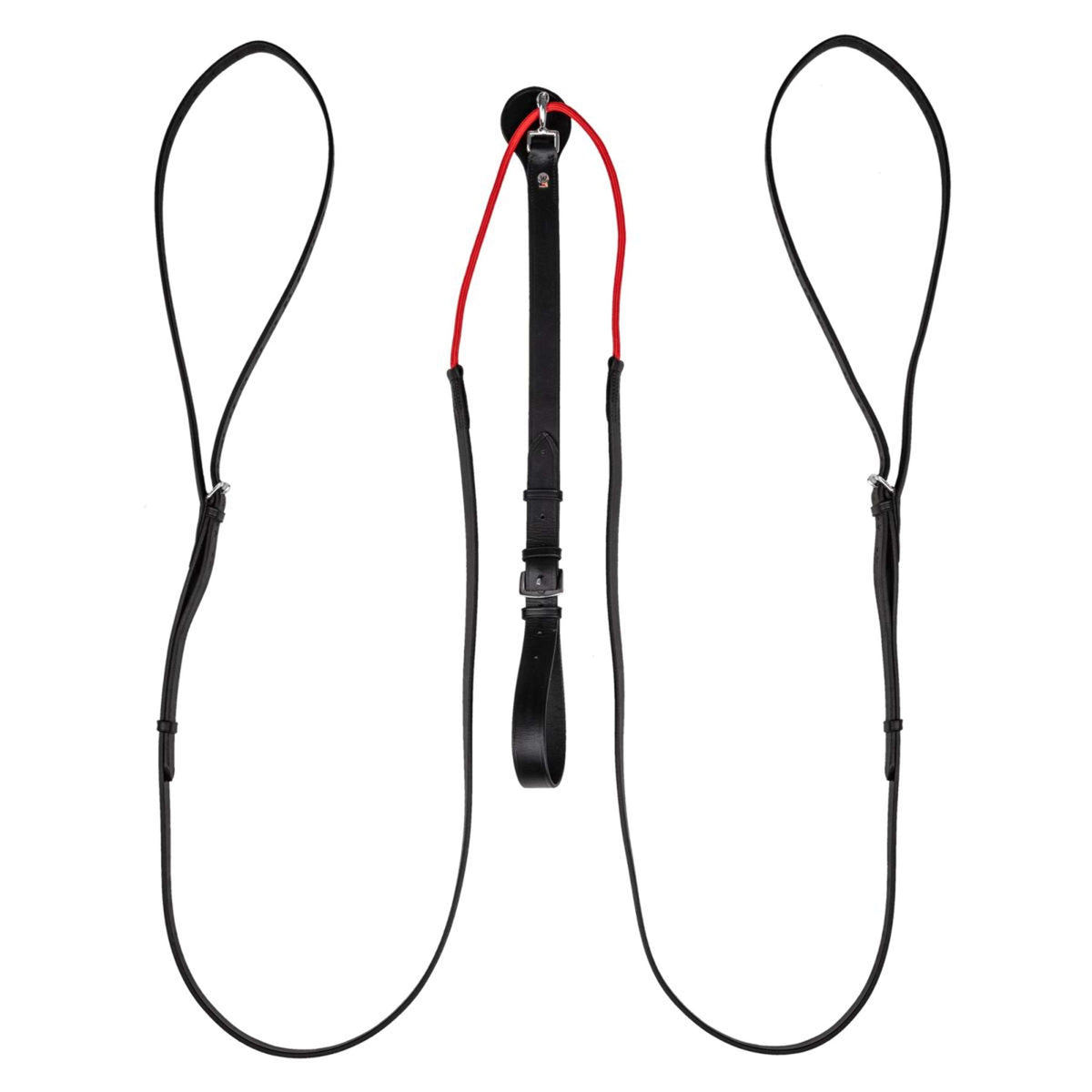 Waldhausen Teugels W-Train