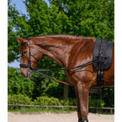 Waldhausen Teugels W-Train