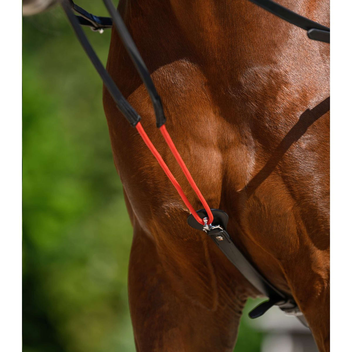 Waldhausen Teugels W-Train