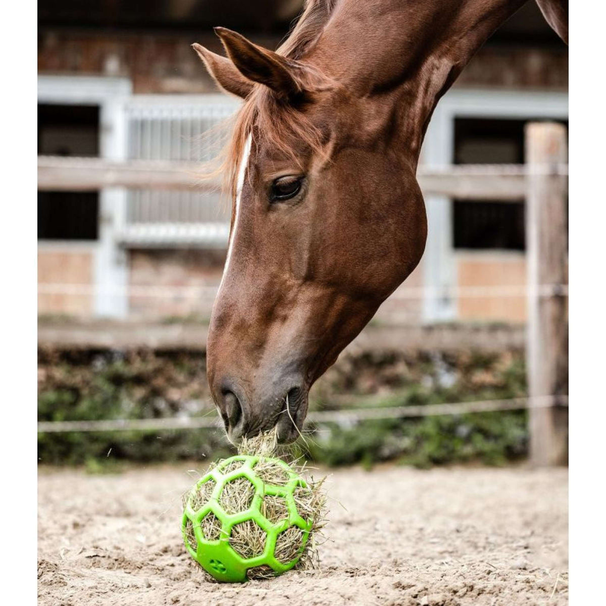 Waldhausen Hooibal Groen