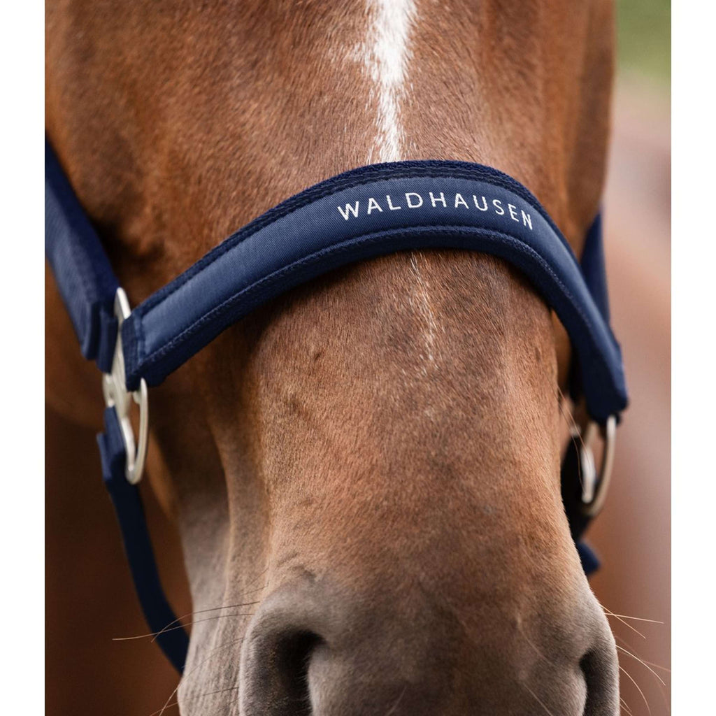 Waldhausen Halster Athletic Nightblue