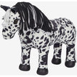 Appaloosa Dakota Black