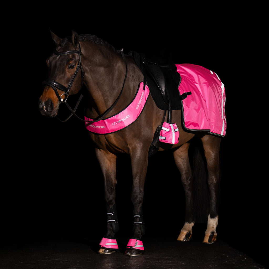 Imperial Riding Borsttuig IRHReflective Pink