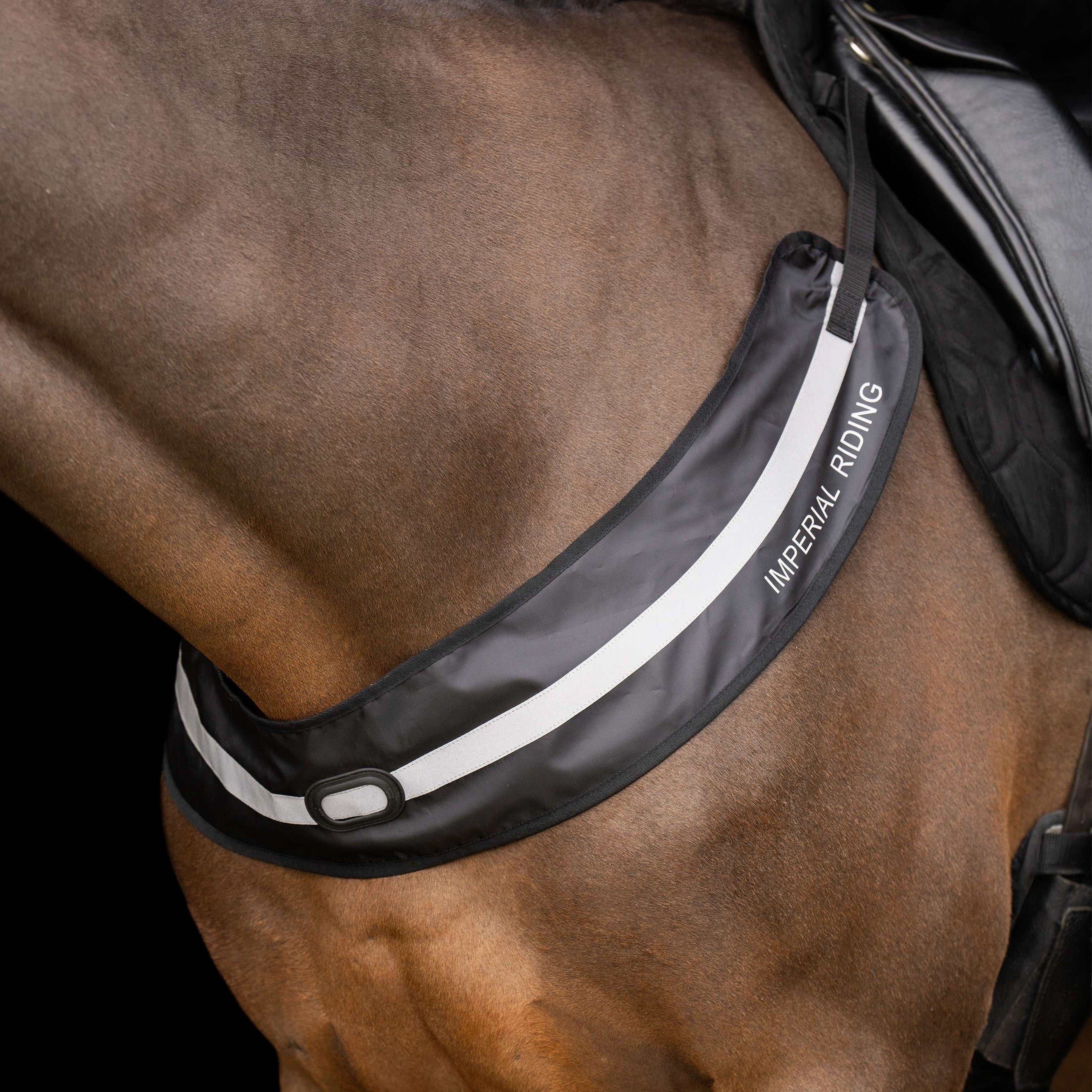 Imperial Riding Borsttuig IRHLuminous Zwart