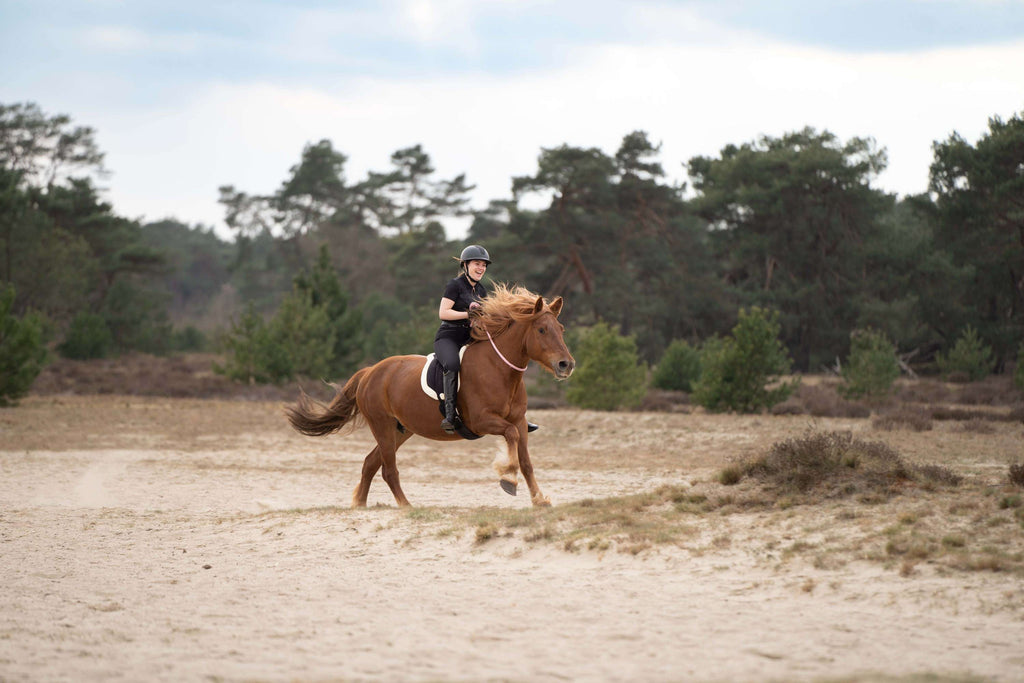 Imperial Riding Bareback Pad IRHFree Ride Zwart