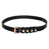 Imperial Riding Sporenriempjes IRHPardouz Zwart/Rosegold