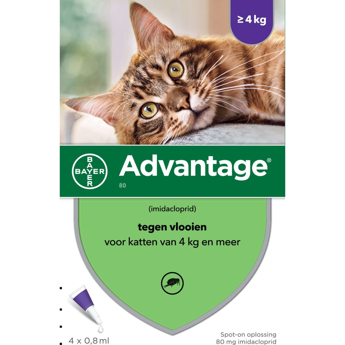 Advantage 80 Spot-On Kat 4-8kg