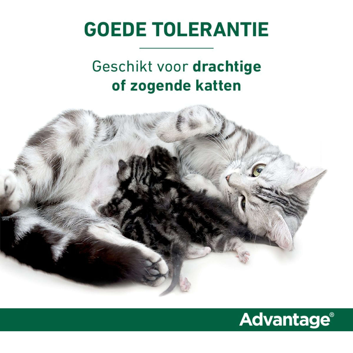 Advantage 40 Spot-On Kat <4kg