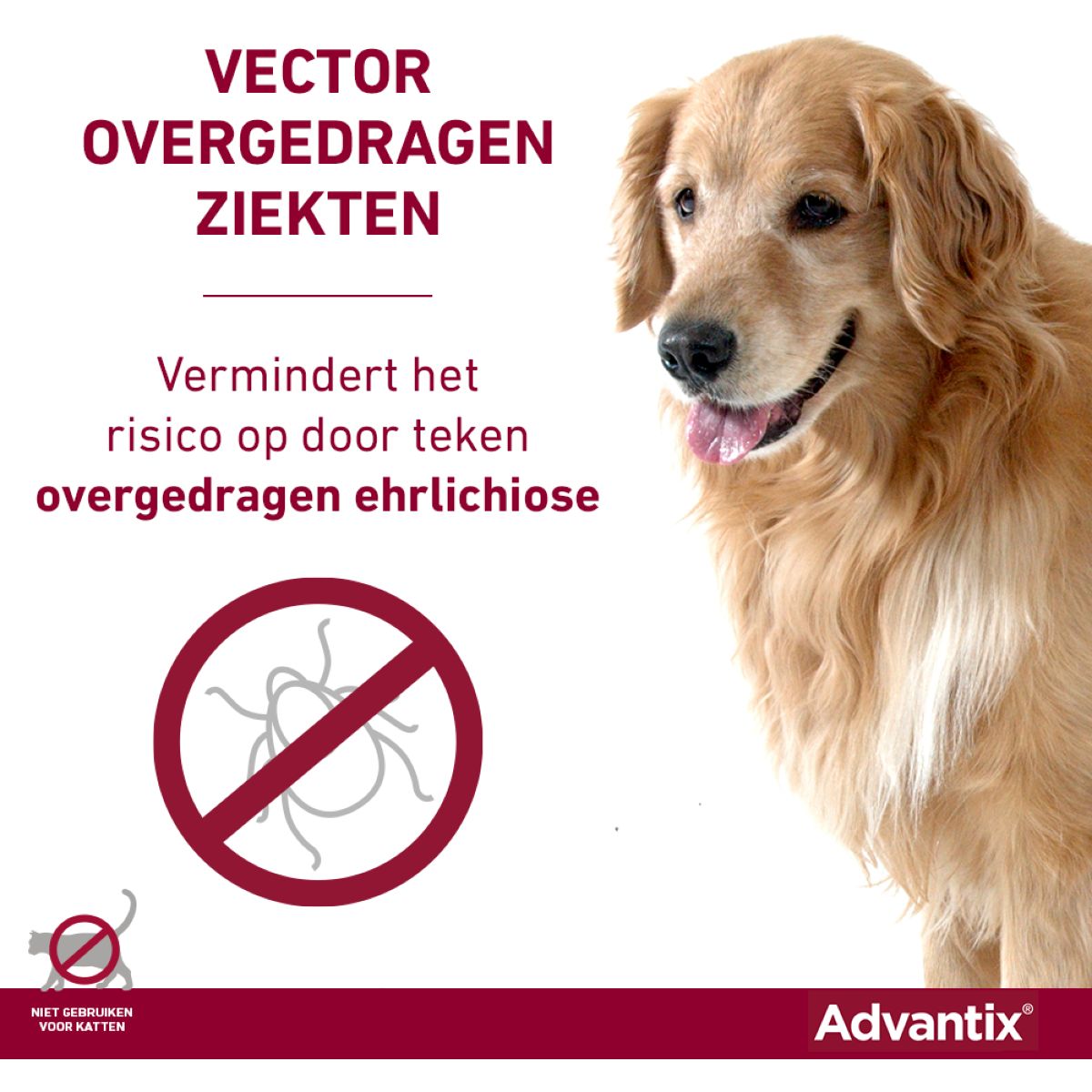 Advantix 600/3000 Spot On Hond