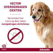 Advantix 400/2000 Spot-On Hond 25-40kg