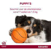 Advantix 600/3000 Spot On Hond