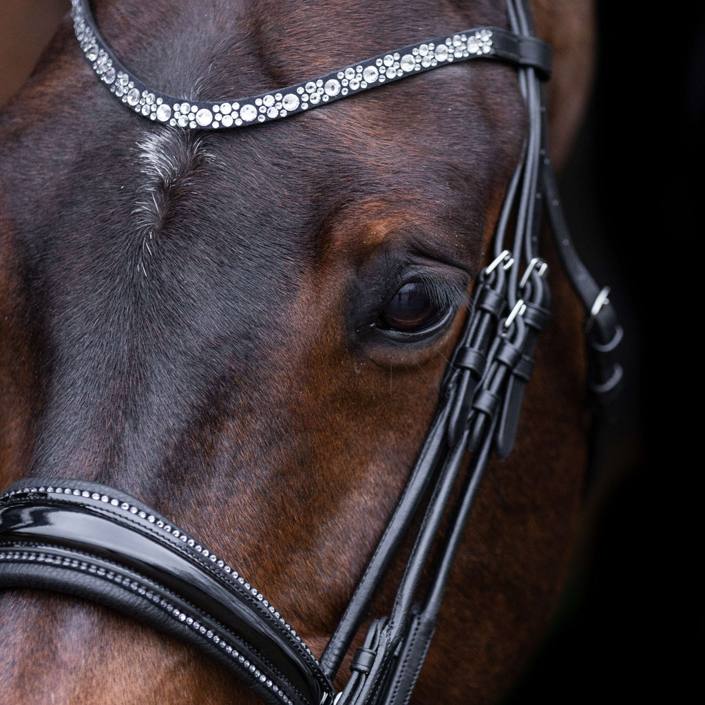Imperial Riding Stang- en Trenshoofdstel IRHOlympia Zwart/Zilver